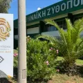 Η Πάτρα παραμένει η καρδιά της ελληνικής ζυθοποιίας