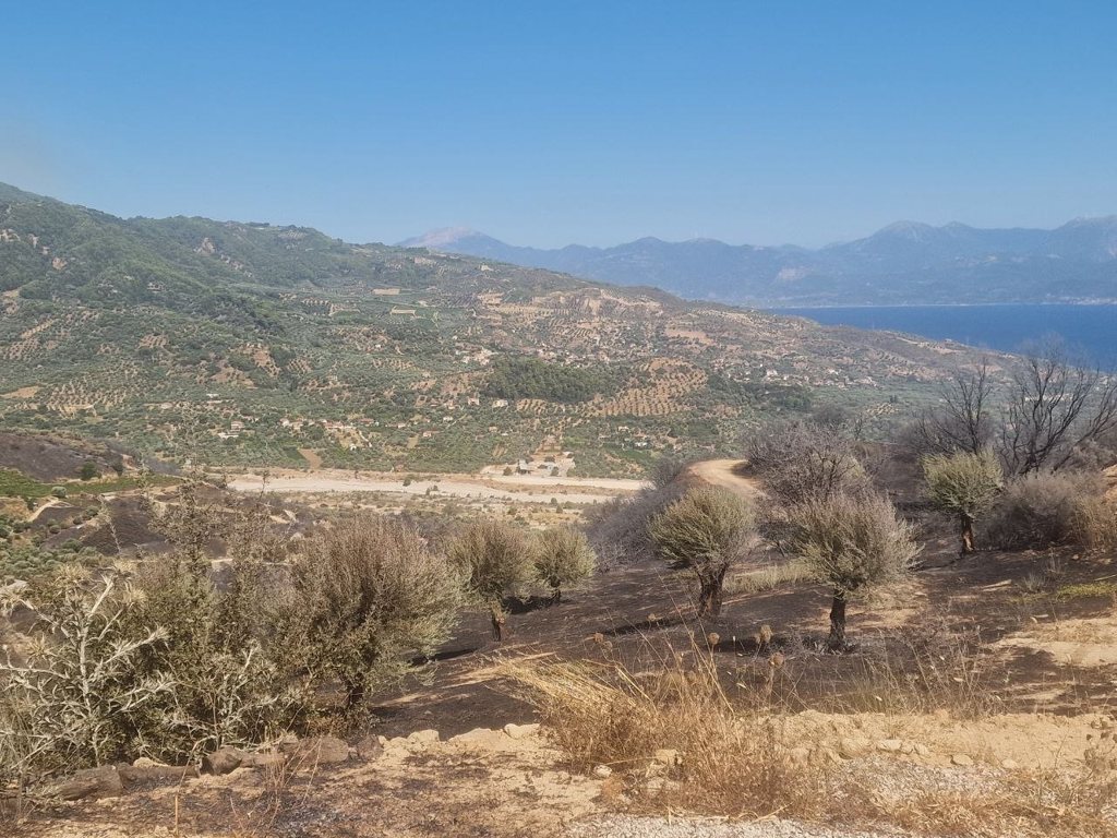 Aχαϊα: Τέλος στον εφιάλτη στην Αιγιάλεια – Παραμένουν σε επιφυλακή οι δυνάμεις