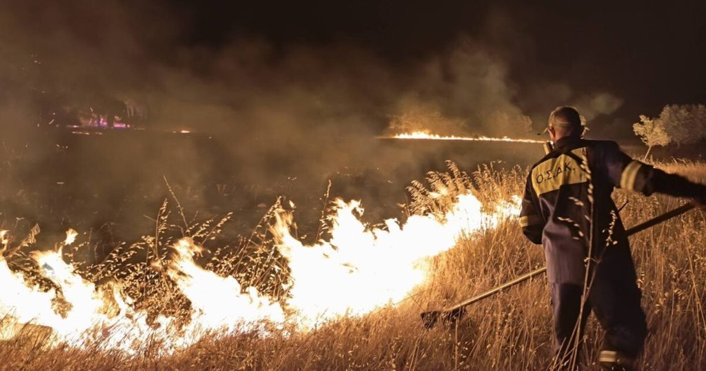 Φωτιές: Δύο τα βασικά μέτωπα στη Δυτική Αττική, βορειοανατολικά της Ψάθας και στο Κανδήλι, αναζωπύρωση στον Κιθαιρώνα - Συναγερμός για εκδήλωση τριών πυρκαγιών στην Ήπειρο