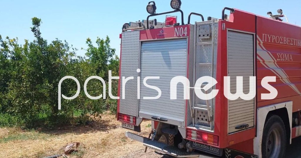 Βαριές καμπάνες για τους εμπρηστές - Όποιος βάζει φωτιά κινδυνεύει ακόμα και με ισόβια