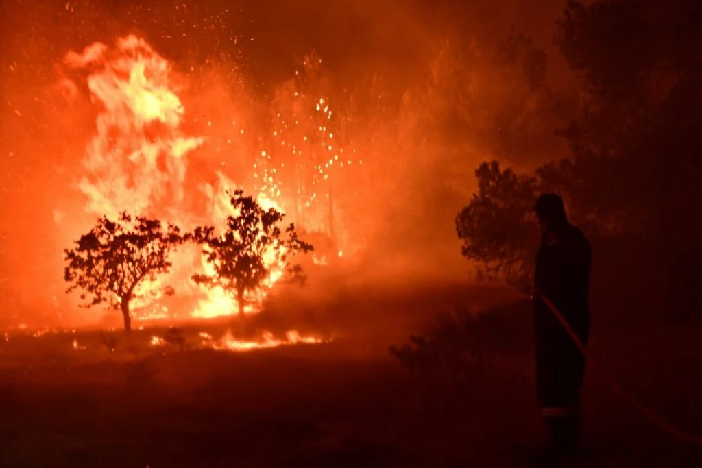 Ηλεία: Μεγάλη δασική πυρκαγιά τη νύχτα στην Αλφειούσα