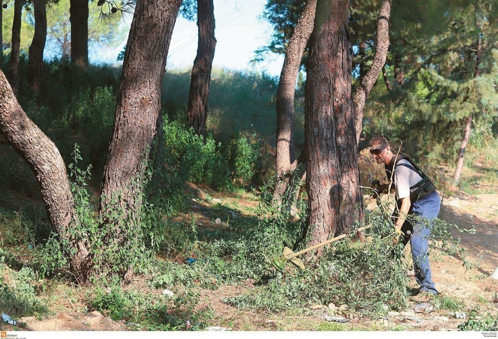 ∆εκάδες ή και εκατοντάδες ακαθάριστα οικόπεδα «πολιορκούν» τις γειτονιές της Πάτρας