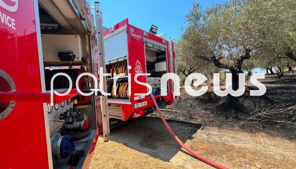 Φωτιά στη Μεσσηνία: Μεγάλη πυροσβεστική επιχείρηση στο Μεσοχώρι λόγω των ανέμων