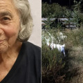 Πάτρα: Με διασωστικό σκύλο οι έρευνες για τη Γεωργία Κριμπά – Στη «μάχη» ο Ερυθρός Σταυρός