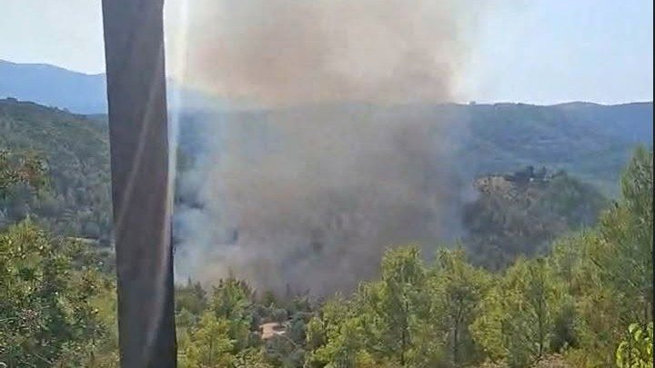 Φωτιά στο σε δασική έκταση στο Μαρκόπουλο Ωρωπού: Ενισχύθηκαν οι δυνάμεις – Ήχησε το 112 για ετοιμότητα