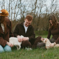 Pet sitting στην Ελλάδα: Αυξάνεται η ζήτηση – Οι τιμές για βόλτα, επίσκεψη και διανυκτέρευση