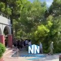 Ναύπακτος: Πήγαν σε κηδεία και...τους πλάκωσε κλαδί από λυγιά! Στο νοσοκομείο 3 άτομα (video)