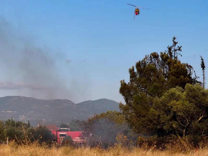 Έξι συλλήψεις για πυρκαγιές από αμέλεια σε Ζάκυνθο, Φθιώτιδα, Τρίκαλα, Αργολίδα και Εύβοια