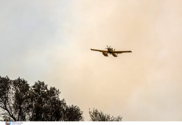 Φωτιά στον Αυλώνα Μεσσηνίας – Επιχειρούν 1 ελικόπτερο και 2 αεροσκάφη
