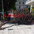 Περιπτώσεις κοπής δέντρων αντιμετώπισε στη διάρκεια της νύχτας η Πυροσβεστική σε Αχαΐα και Ηλεία