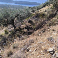 Άμεσα τέθηκε υπό έλεγχο φωτιά στην Γλυφάδα Δωρίδας